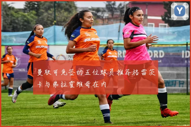 曼联可免签的五位球员推荐格雷茨卡与弗拉霍维奇在内