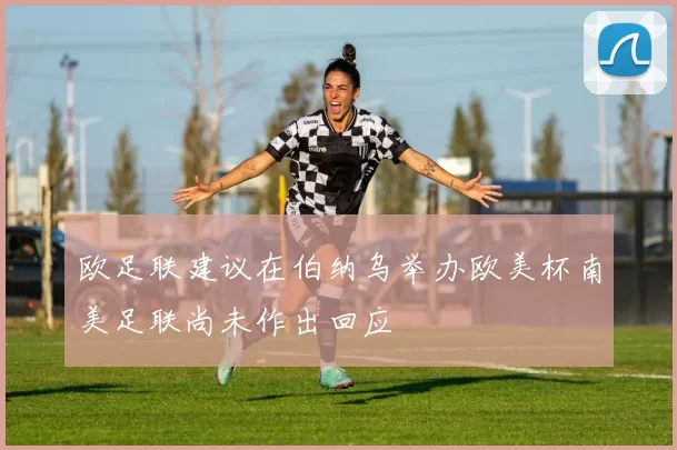 欧足联建议在伯纳乌举办欧美杯南美足联尚未作出回应